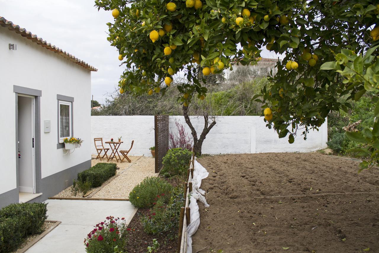 Casa Do Avo Serra Leiria Exteriör bild