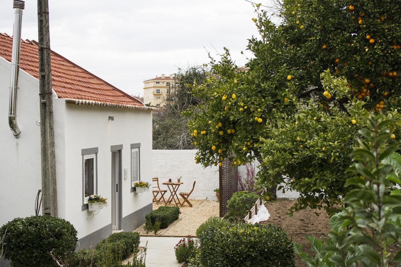 Casa Do Avo Serra Leiria Exteriör bild